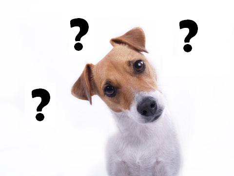 Just have questions? – Erika's Virtual Tax Services